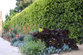 Campion Walker Landscape Architects Residential Garden Santa Monica Canyon French Garden Design Succulent Landscaping Australian Garden