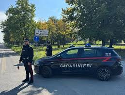Risveglio Duemila - News update