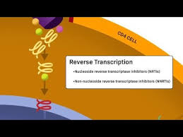 Image result for Nucleoside Reverse Transcriptase Inhibitor