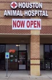 Beyond providing first rate pet care, we make our clinic comfortable. Houston Animal Hospital Veterinarians Serving Houston Sugar Land Stafford Missouri City Richmond And Meadows Place Tx