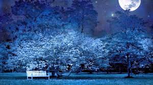 وكانت طائرات حربية إسرائيلية قد قصفت ليل الجمعة السبت قطاع غزة ما أدى الى مقتل وجرح مدنيين بعد يوم من الصدامات في الضفة الغربية بينما وصل موفد أميركي لإجراء محادثات. Ø§Ø¬Ù…Ù„ ØµÙˆØ±Ø¹Ù† Ø§Ù„Ù„ÙŠÙ„ Ù„Ù„ÙŠÙ„ Ù…Ø¹Ø§Ù„Ù… ÙˆØµÙˆØ© Ø±ÙˆØ¹Ø© ÙƒÙŠÙˆØª