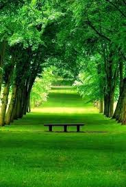 Beautiful Green Nature Peace Beautiful Landscapes Beautiful Nature Nature Photography Pictures peace road ocean peace peaceful scenery flower images peace rose peaceful nature rest peace peace mind peaceful face peace love peace free stock photos we have about (445 files) free stock photos in hd high resolution jpg images format. nature peace beautiful landscapes