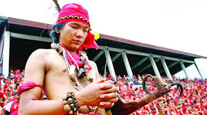 Mampukah ferdi dan tommy mendapatkan hati nina? Panglima Kumbang Suku Dayak