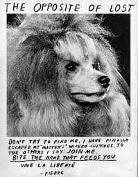 Never Bite The Hand That Feeds You Memes Pin On Chiots All About Doggies