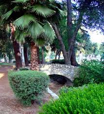 pin by jane brinkman on redlands redlands california san bernardino county san bernardino mountains pinterest
