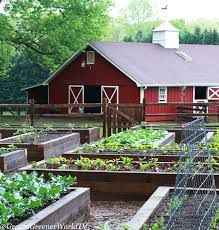 Check spelling or type a new query. No Till Gardening Benefits Getting Started