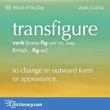 Click To Read The Full Definition Wotd Wordoftheday Words Transfigure Dictionarycom Words Weird Words Uncommon Words