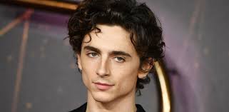 Bob Dylan, un biopic sulla sua carriera