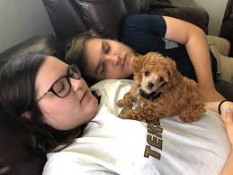 WE MUST DO THE FIRST AND MIDDLE NAME OF OUR CAT 🐈 CAUSE IT KINDA GOES  TOGETHER AND ALSO, CAUSE HE HEARS IT OFTEN 🥸 WHEN HE WAS A BABY..HE HAD A