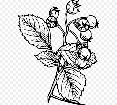 Join millions of people looking to find tattoo inspiration, discover artists and studios, and easily book tattoo appointments. Bird Tattoo