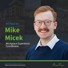 Pine Tree (@pinetree.cre) • Instagram photos and videos