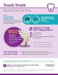 Why dental cover for your dog is important. Tooth Truth Your Pet S Bad Breath Could Be A Warning