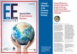 A nkea is defined as a driver of economic activity that has the potential to directly. Eu Ase Featured In Energy Efficiency Magazine 2020 Ee And Economic Recovery Eu Ase