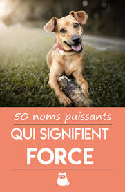 Idées prénoms d'animaux partie 1 : Noms De Chiens Qui Signifient Force Pour Males Et Femelles Nom De Chien Noms De Chien Femelle Nom De Chien Male