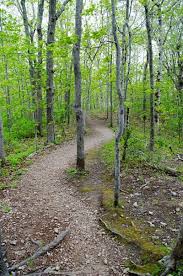 Looking for Walking Trails? Look No Further! The Lloyd Center Has Trails  For You!