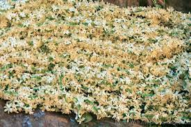 Asia India Calcutta White Freesia Garlands In The Flower Market In Calcutta Travel Photography Flower Market Garland
