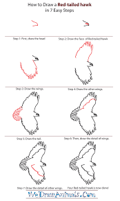 Pin By Cheryl Greger On Jmg Craft Ideas Red Tailed Hawk Eagle Drawing Watercolor Red