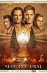Wandavision Season 1 Reviews Metacritic