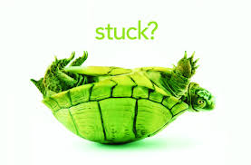 Image result for the way forward biblically images free