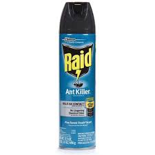 Raid Ant & Roach Killer Spray - Spray - Kills Cockroaches, Ants,  Silverfish, Water Bugs, Palmetto Bug, Carpet Beetle, Earwig, Spider, Lady  Beetle, Black Widow Spider, Crickets, ... - 1.09 Lb -