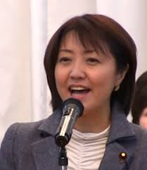 2017 Japanese general election in Hokkaido