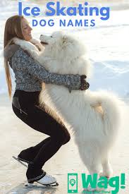 Ice Skating Inspired Dog Names Wag Dog Names Best Dog Names Top Dog Names
