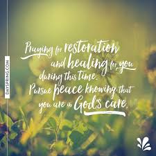 Heavenly father, i humbly come before you to ask that you reach out and touch my children's hearts with your merciful touch. Get Well Ecards Dayspring Get Well Soon Quotes Get Well Prayers Get Well Messages