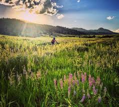 We strictly follow social distancing within the shop,. Evening Spring Ride In Fort Collins Co Empty Endless Trails Wildflower Blooms And A Beautiful Sunset Greeted This Nice Lady During Her Visit To Foco Look Nice Want To Check It