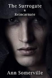 The Surrogate: Ann Somerville: Amazon.com: Books