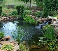 bassin aquatique de jardin etapes de construction et photos bassin de jardin bassin aquatique amenagement jardin bassin