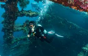 Top Dives Sites In Bali Indonesia