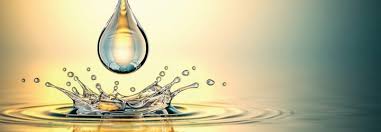 AWARDS OF EXCELLENCE