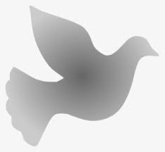 Dove Clipart PNG Images, Free Transparent Dove Clipart Download - KindPNG