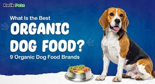Organic Dog Food: Is It Worth the Hype? An Expert Nutritional Breakdown
