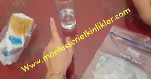 Fasulye Cimlendirme Montessori Etkinlikleri Montessori Fasulye Bitki