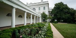 Over 371,975 white house pictures to choose from, with no signup needed. White House Rose Garden History Melania Trump S Changes To The Rose Garden