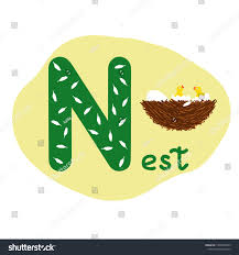 Different words for letter n. English Alphabet Children Education Letter N Stock Vector Royalty Free 1468458785 Shutterstock