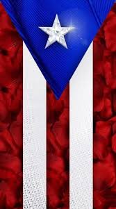 Pin By Robbie On Red White And Blue Bleu Blanc Et Rouge Puerto Rico Art Puerto Rico Pictures Puerto Rico Flag