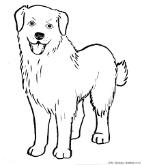 How to draw dogs | 30 tutorials. Drawing Line Drawing Dog Pictures To Draw
