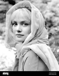 Sarah branch immagini e fotografie stock ad alta risoluzione