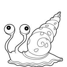 Funny simple coloring page vector illustration coloring page. Coloring Page Of Snail