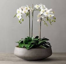 Cool Faux Orchid Plant Cast Concrete Bowl Large In 2021 Indoor Orchids Bathroom Flowers Orchid Arrangements
