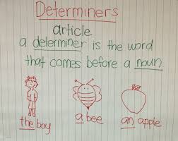 Determiners Articles Anchor Chart Anchor Charts First