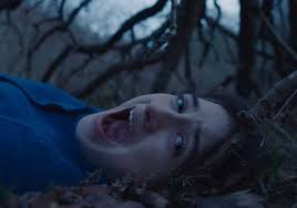 Belgium, ireland, united states of america. Review The Other Lamb Cineuropa