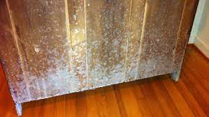 Clean light mold with sunlight, cheap vodka, and dish soap. Mold On Furniture The Causes And Prevention Methods Environix