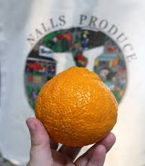 Check spelling or type a new query. Nalls Produce It S Sumo Citrus Season These Are Like Facebook