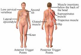 Imagine your body as a. Fibromyalgia Uva Health