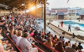 Paula Deen S Lumberjack Feud Outdoor Show Adventure Park