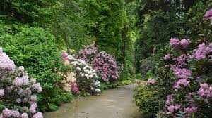 Liebe besucherinnen und besucher, herzlich willkommen im botanischen garten! Botanischer Garten Munchen Eroffnet Vor Pfingsten Munchen Sz De