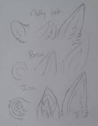 So you want to learn how to draw furries OWO How To Draw? Amino